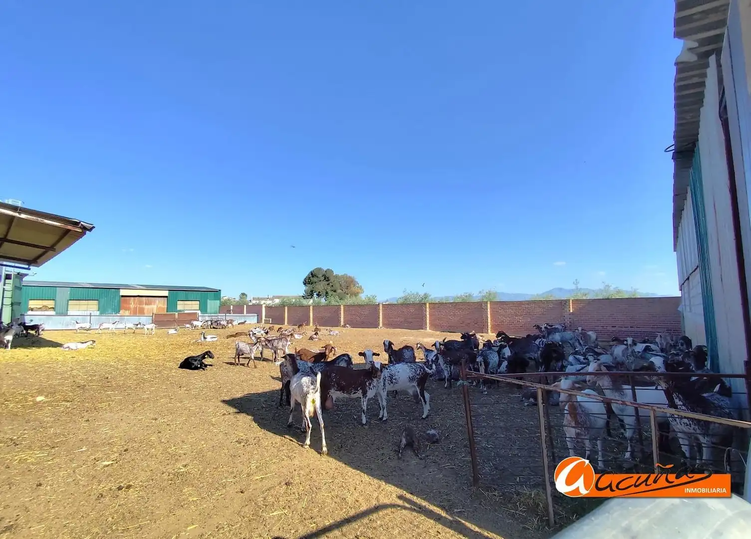 Nau industrial en venda a Mollina, imagen 16