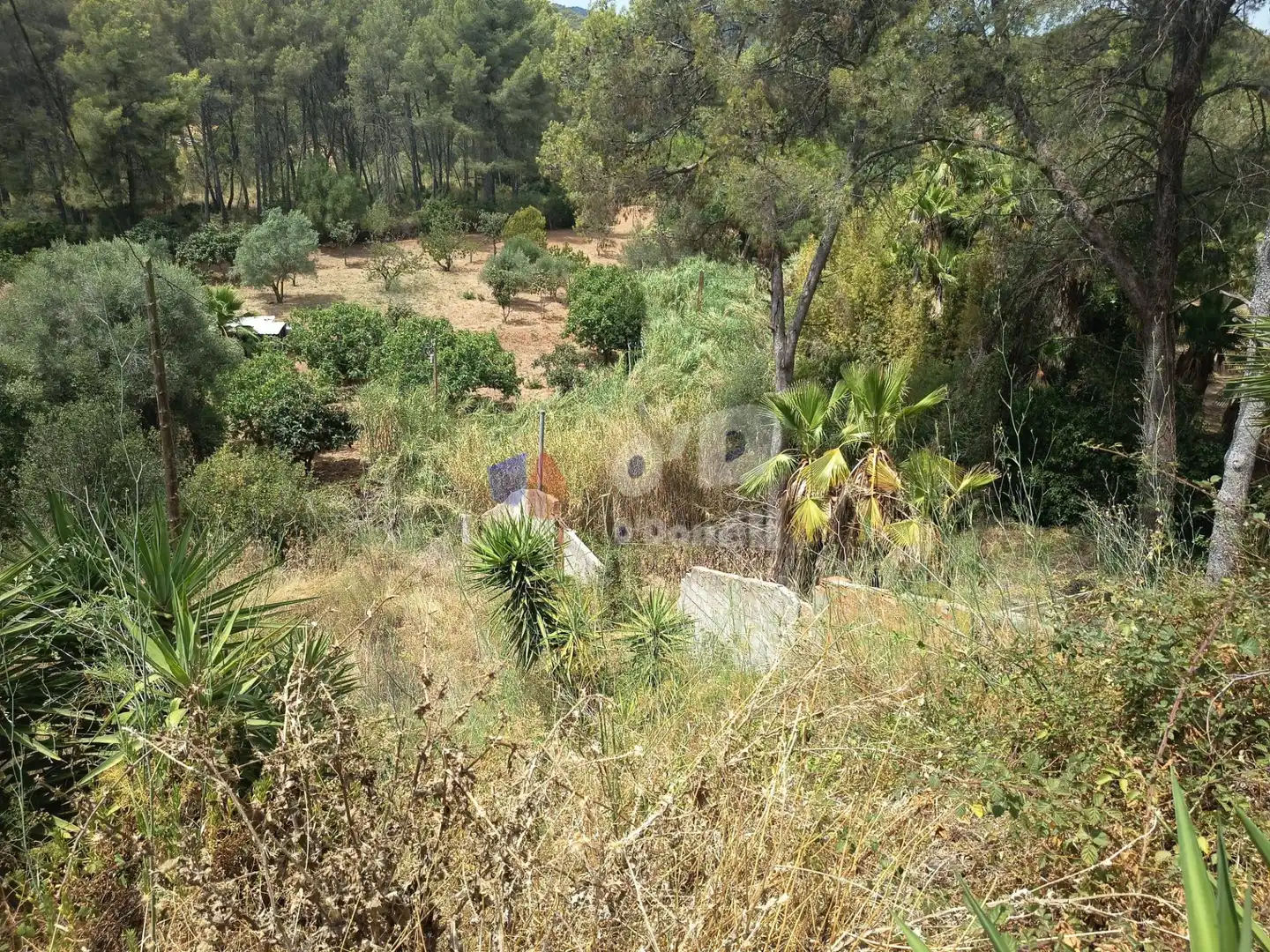 Casa amb jardí en venda a Sant Climent de Llobregat, imagen 22