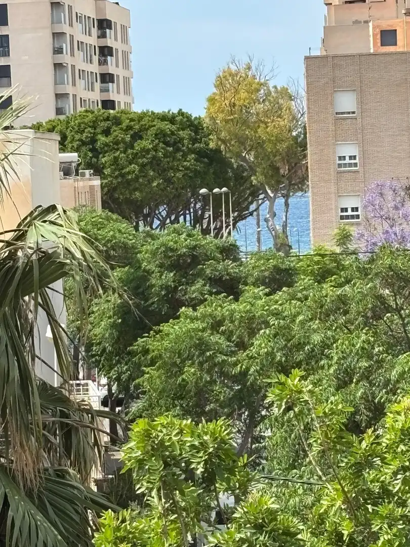 Vista exterior de Casa adosada en venda en Almería amb Aire condicionat, Calefacció i Jardí privat