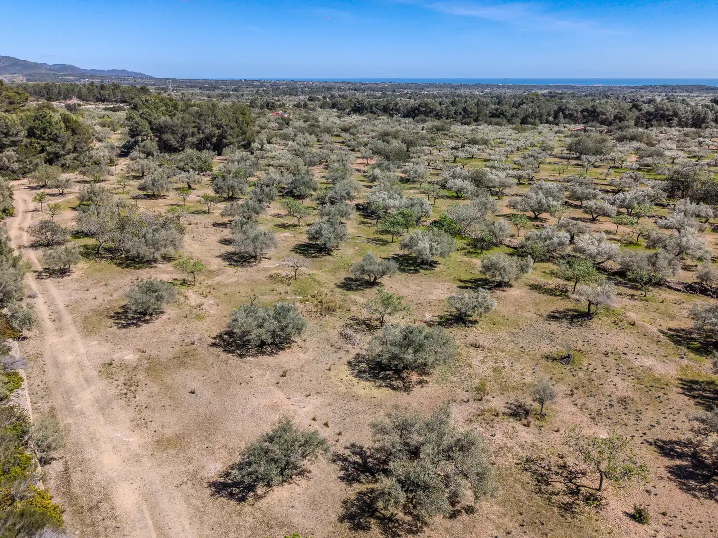 Land for sale in El Perelló