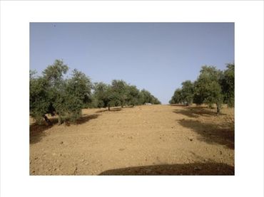 Terreno residenziale in vendita a Jauja
