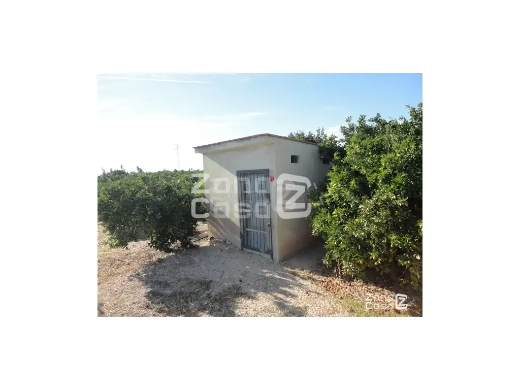 Chalet en venta en Albalat de la Ribera, imagen 5