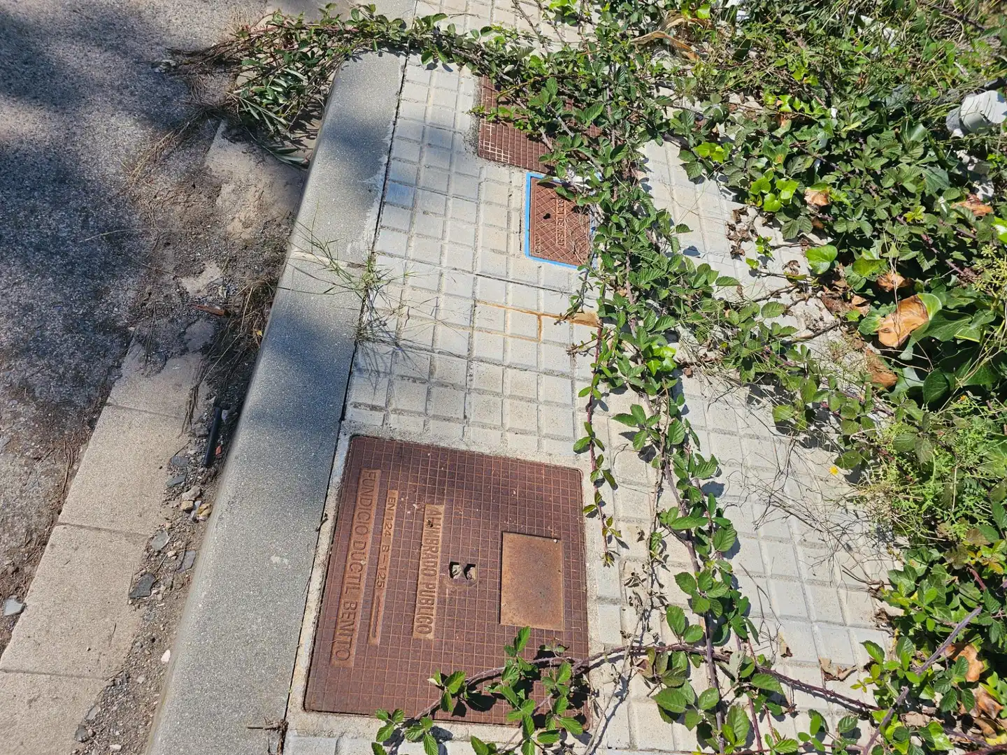 Residential land for sale in Calle Dels Crisantems, imagen 9