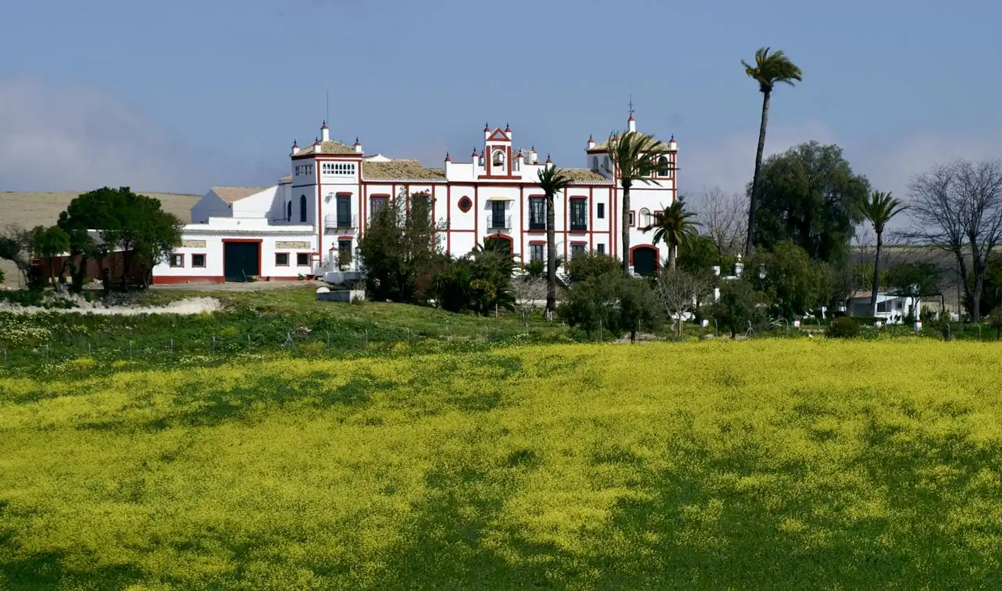 Country house with terrace for sale in Morón de la Frontera, imagen 10