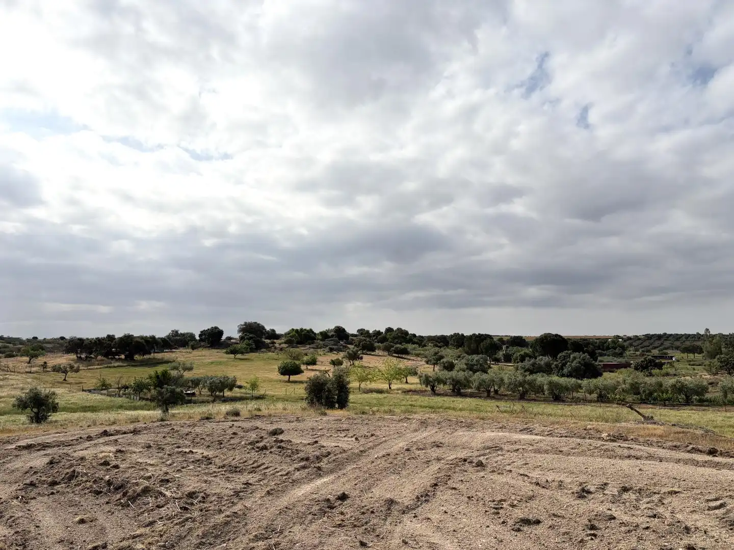 Terrain rustique à vendre à La Haba, imagen 39