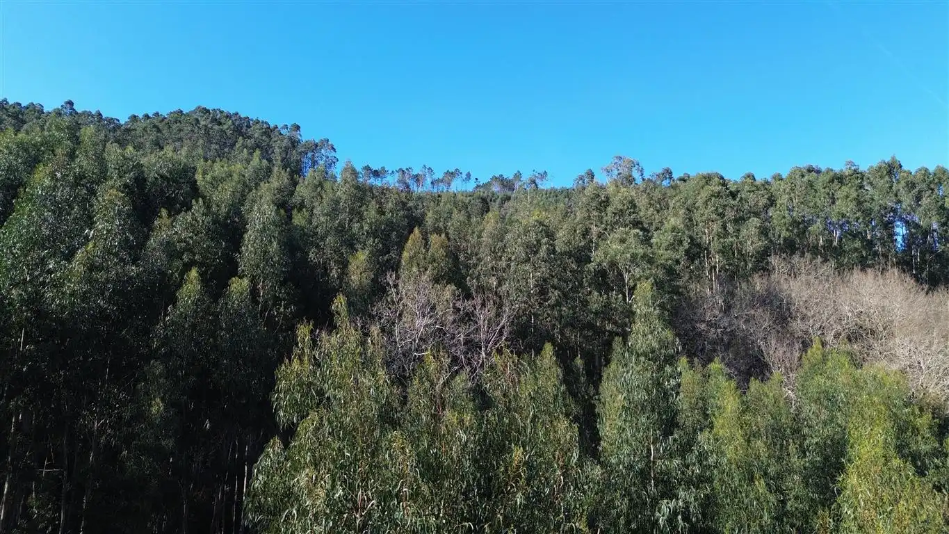 Casa o xalet en venda en Val de San Vicente  amb Jardí privat i Moblat