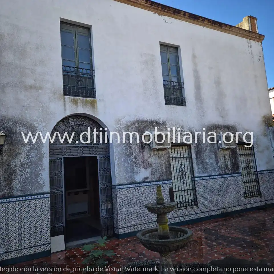 Vista exterior de Casa o chalet en venta en La Palma del Condado con Terraza