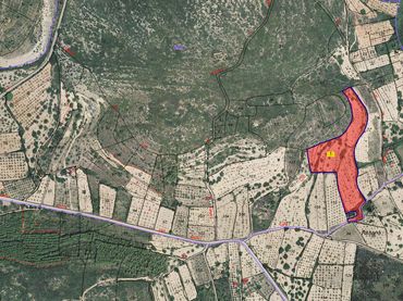 Rural land for sale in Cervera del Maestre