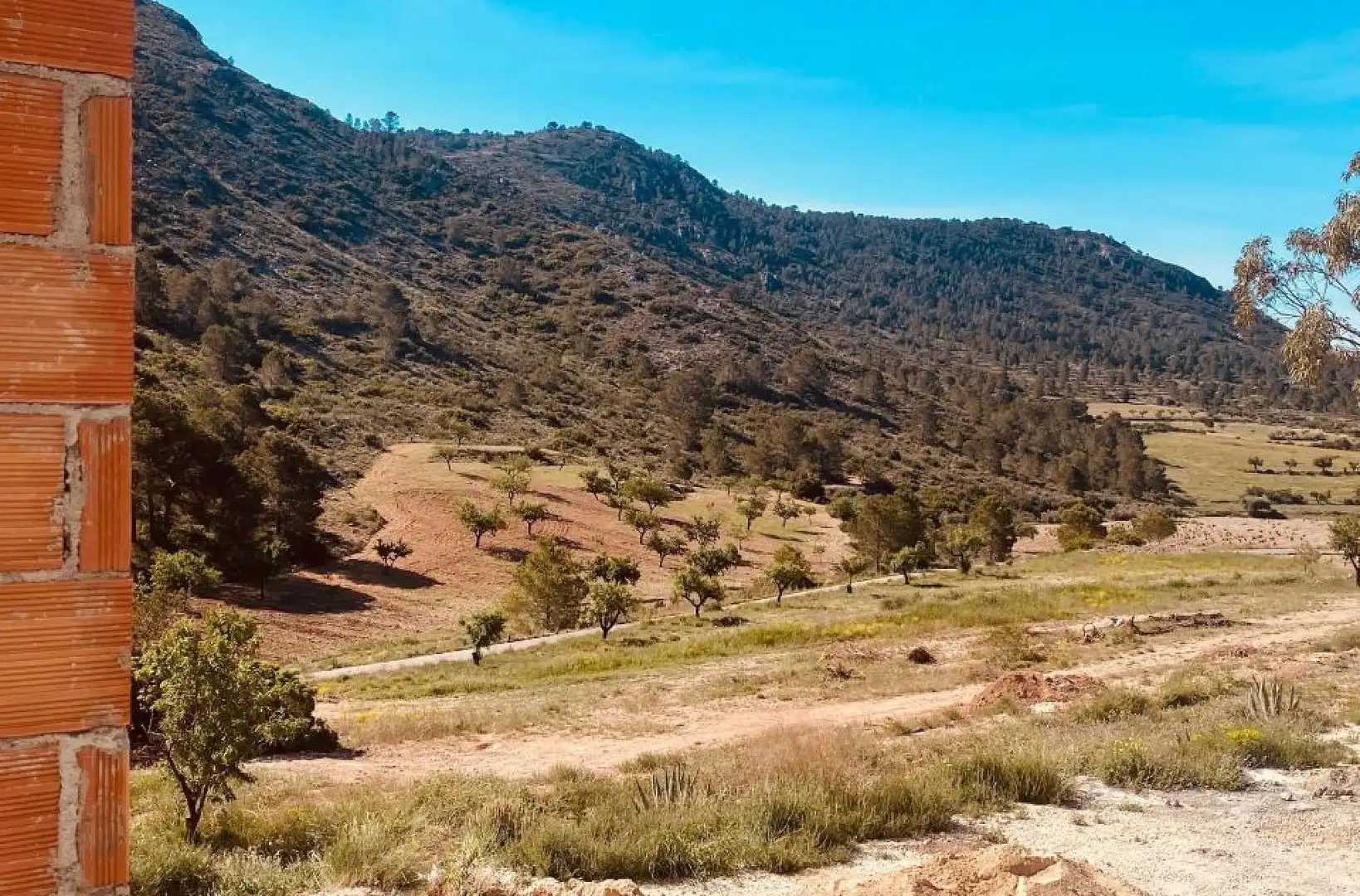 Chalet en venta en Hondón de las Nieves / El Fondó de les Neus, imagen 4