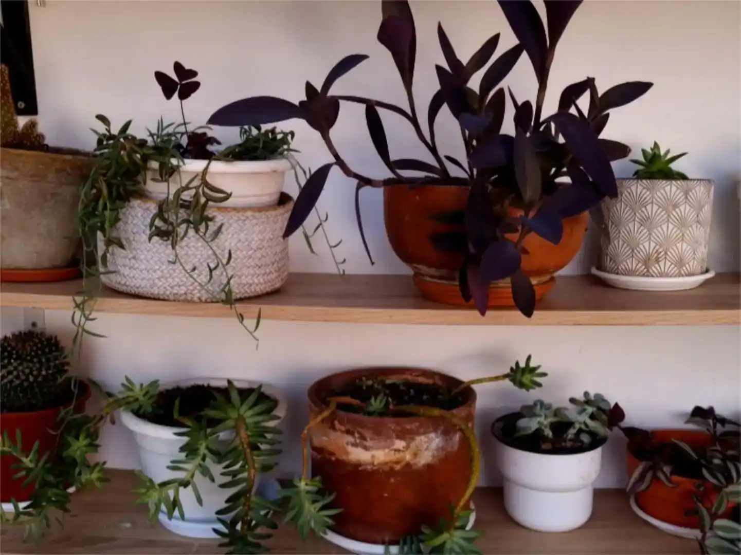 Terrassa de Apartament per a compartir en Barcelona amb Aire condicionat, Jardí privat i Parquet