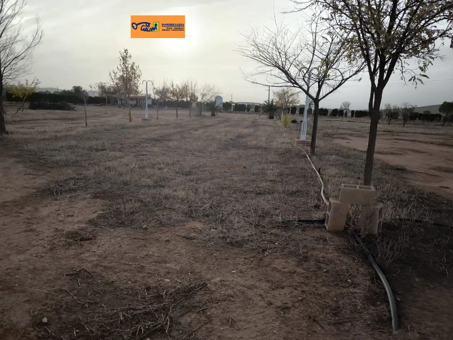 Casa rústica en venda a Valdepeñas