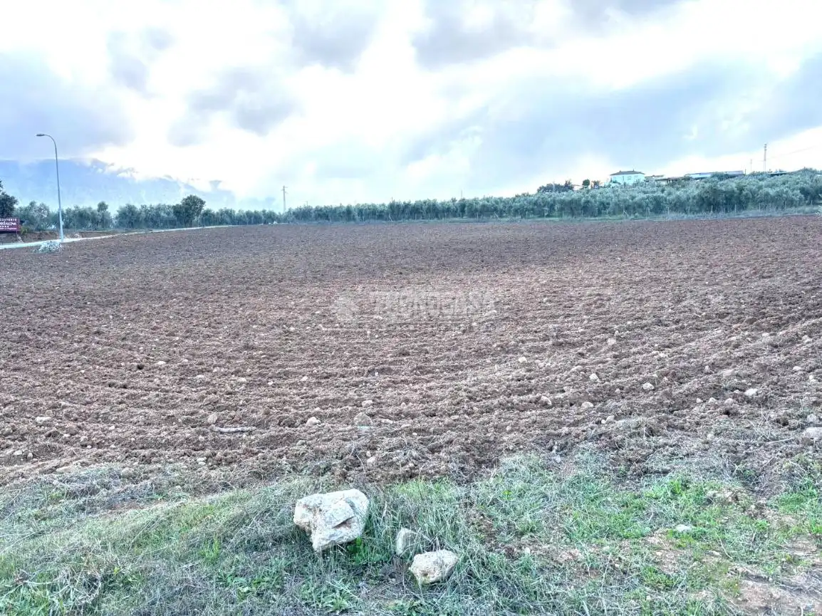 Terreni e lotti in vendita a Centro, imagen 3