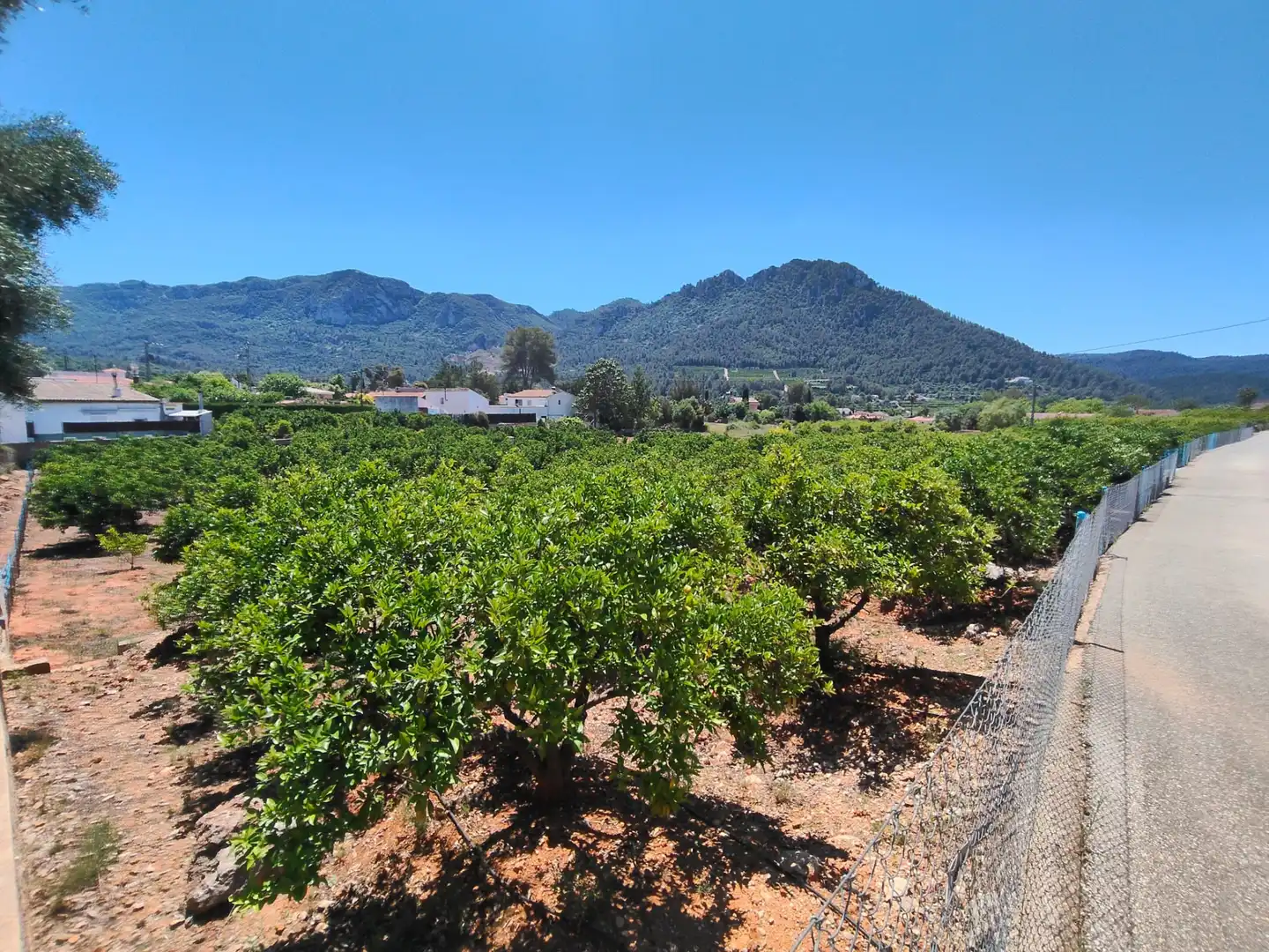 Vista exterior de Finca rústica en venda en Simat de la Valldigna amb Jardí privat, Traster i Piscina
