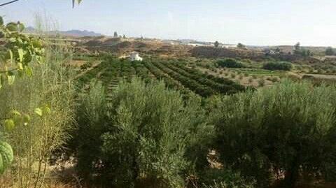 Photo 4 of Country house for sale in Cantoria, Almería