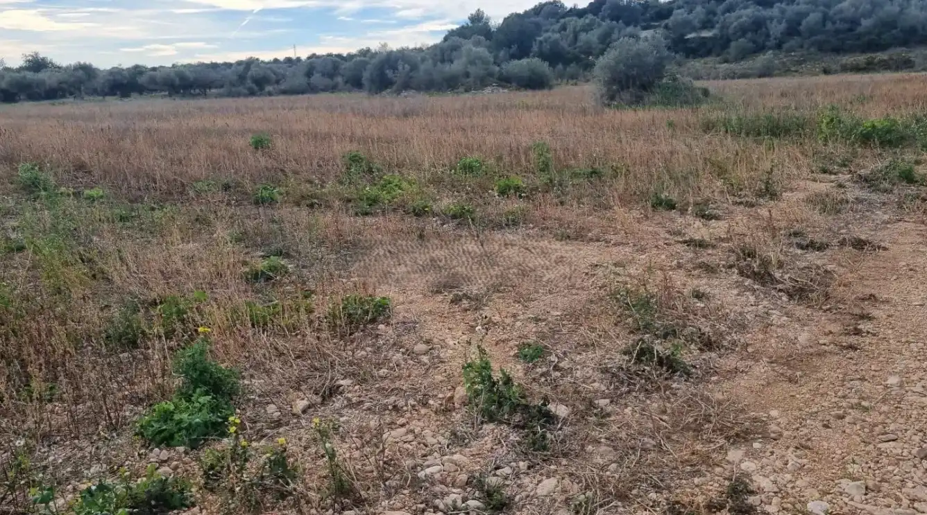 Terreno rustico in vendita a Traiguera, imagen 2