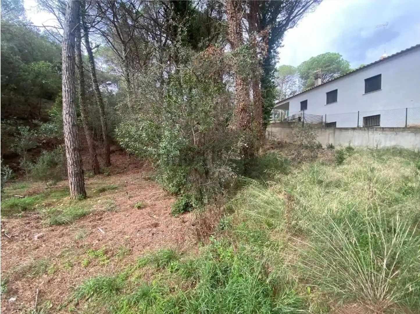Maison avec piscine à vendre à Mas Pere - Río de Oro, imagen 22