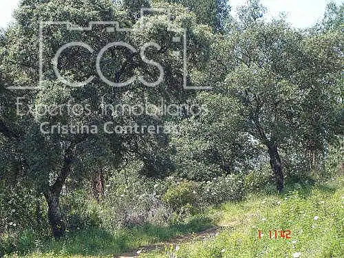 Terreni e lotti in vendita a El Castillo de las Guardas, imagen 8
