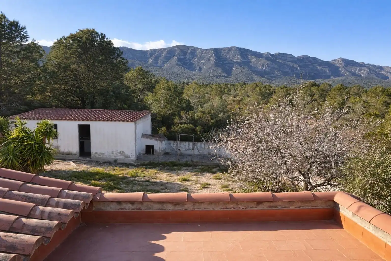 Terrassa de Casa o xalet en venda en Alcanar amb Jardí privat, Traster i Piscina