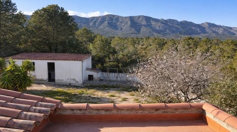 Foto 3 de Casa o xalet en venda a Alcanar, Tarragona