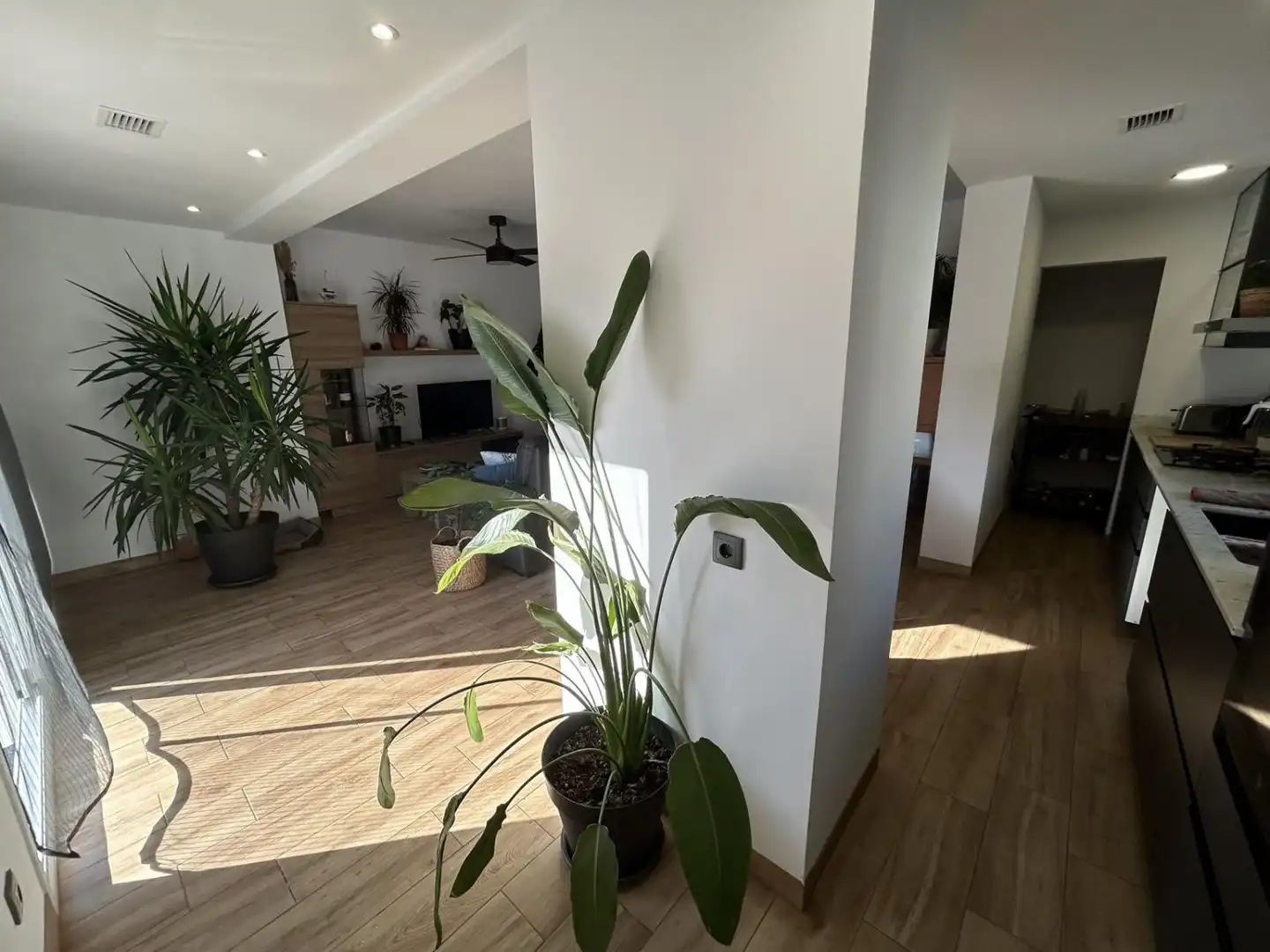 Detached house for sale in Alcanar, imagen 26