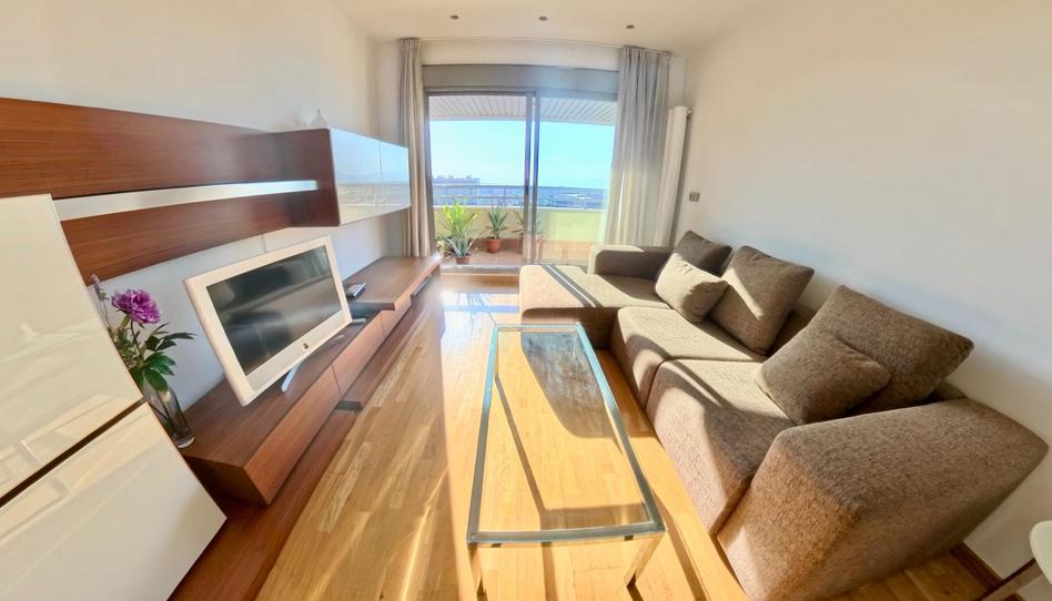 Foto 1 de Apartament de lloguer a Avenida Avenida de la Ilustración, 85, Campus de la Salud, Granada