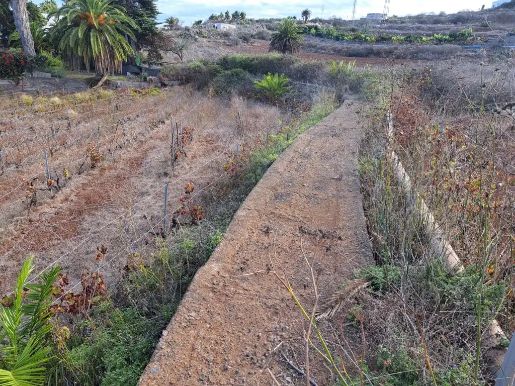 Rural land for sale in El Sauzal, imagen 41