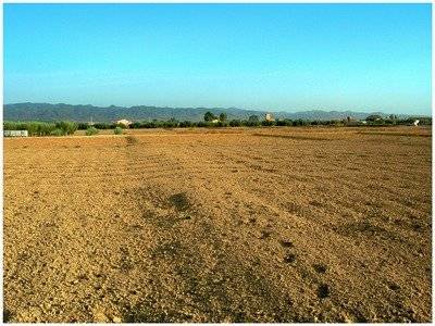 Terreno residencial en Venta en Cazalla