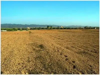 Terreny residencial en venda a Pedanías Centro
