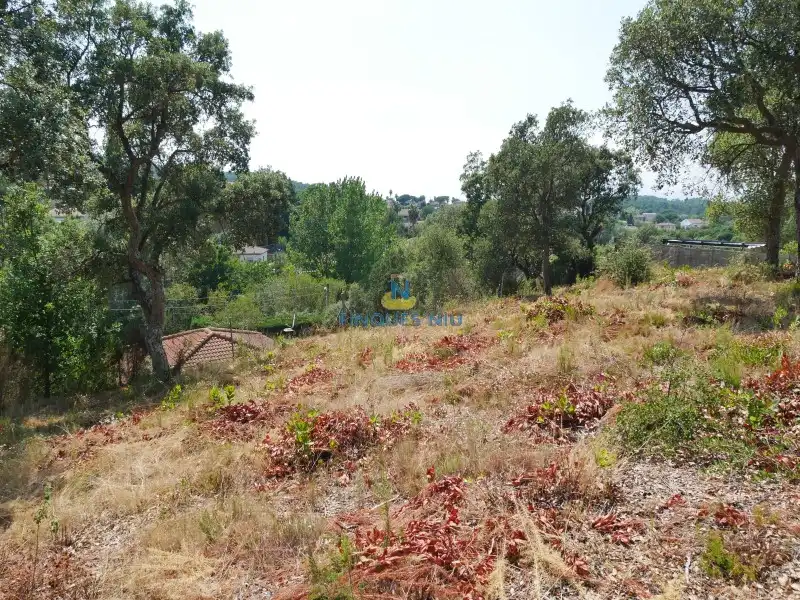 Residential land for sale in Montbarbat, imagen 8