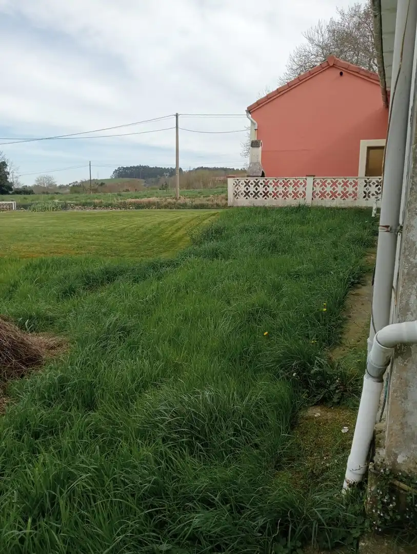 Detached homes for sale in Reocín