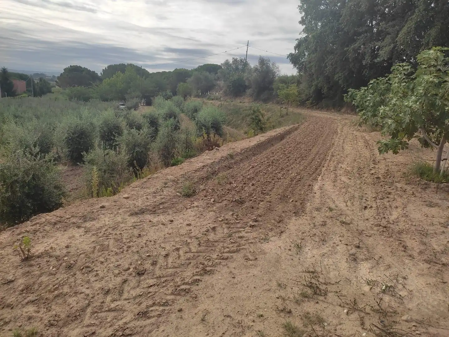 Terreno rustico in vendita a Partides de Lleida, imagen 9