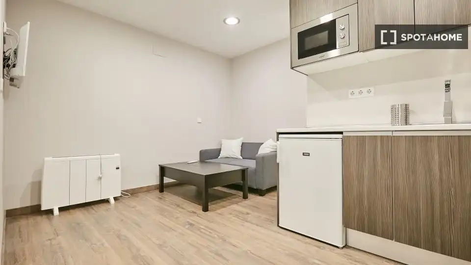 Wohnung zur Miete in Centro, imagen 11