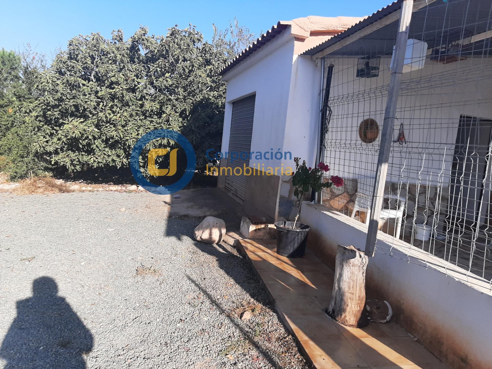 Vista exterior de Casa o chalet en venta en Lorca con Jardín privado, Terraza y Trastero