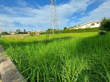 Residential land for sale in Madrigal