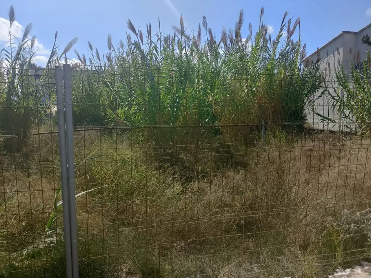Terrain résidentiel à vendre à Calle Bomba, imagen 9