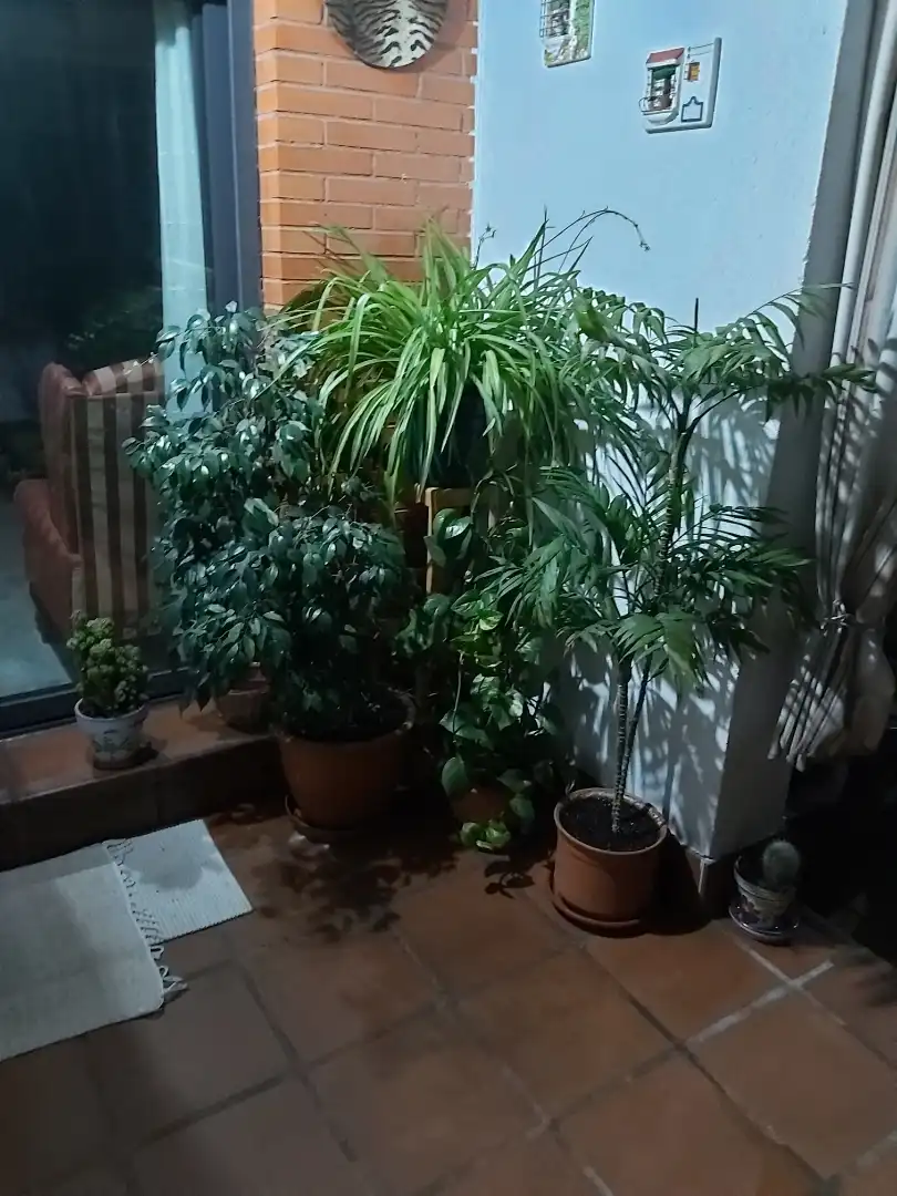 Habitación en Calle Puerto Vallarta, 1, Salvador