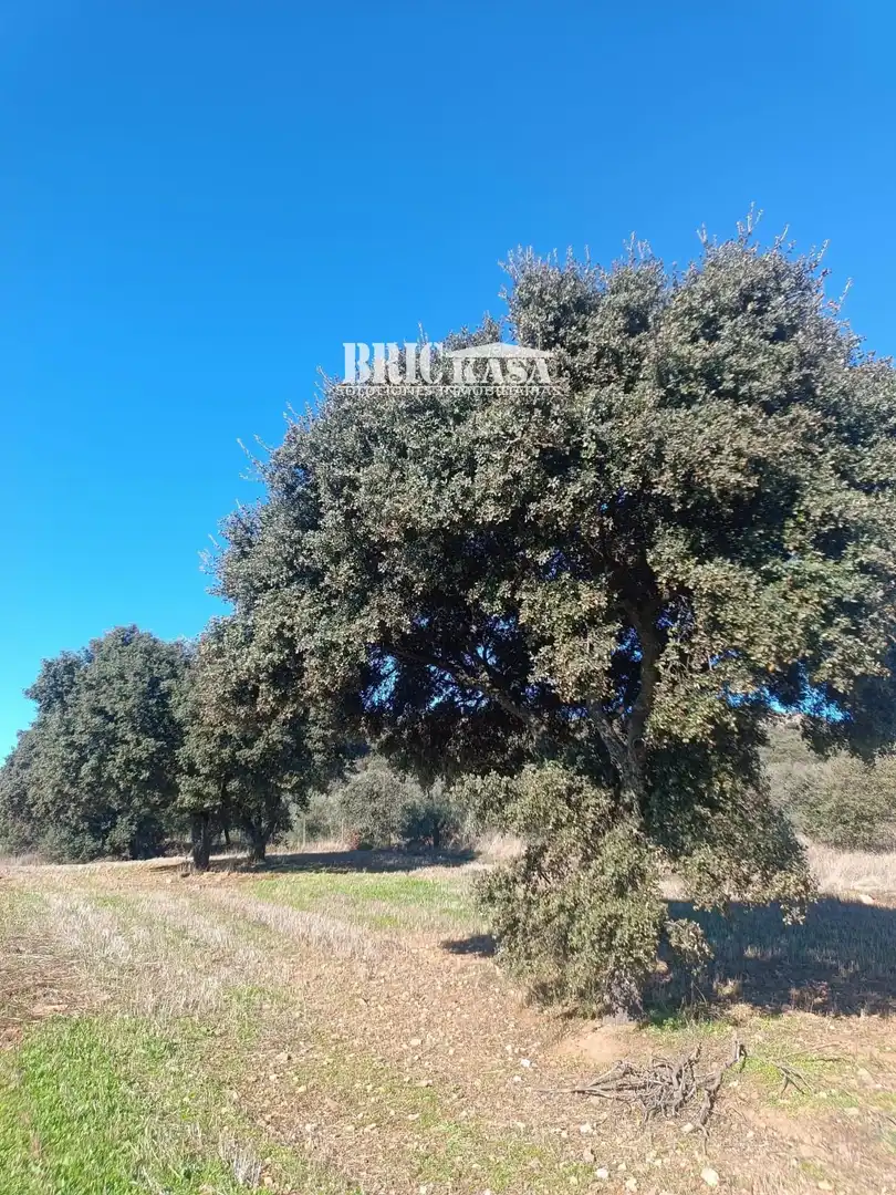 Terreni e lotti in vendita a Valdesalor - Rincón de Ballesteros, imagen 2