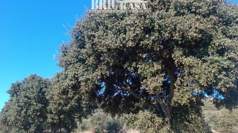 PARCELA EN SIERRA DE FUENTES, imagen 2