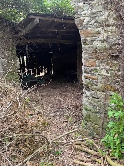 Vista exterior de Finca rústica en venta en Castropol
