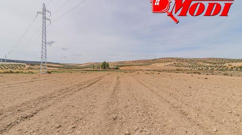 Se vende esta bonita haza de tierra de secano en termino de la Malaha, camino hacia Otura. Son dos fanegas de tierra  9.395 m  don, imatge 4