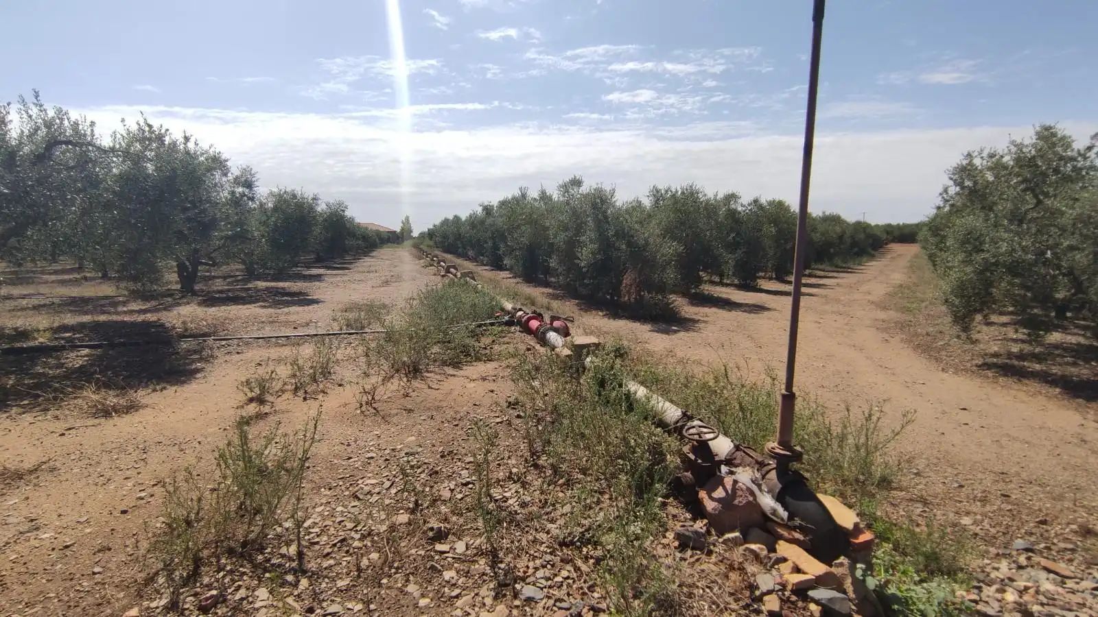 Finca rústica en venta en de les Hortes, Montbrió del Camp