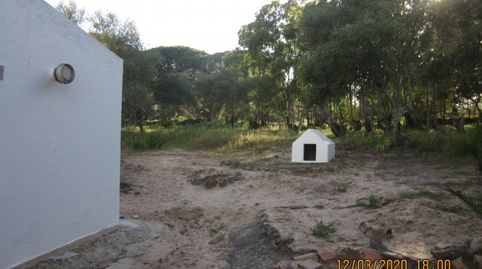 ESTUPENDA CASA EN TERRENO PRÓXIMA A VEJER DE LA FRONTERA, imatge 4