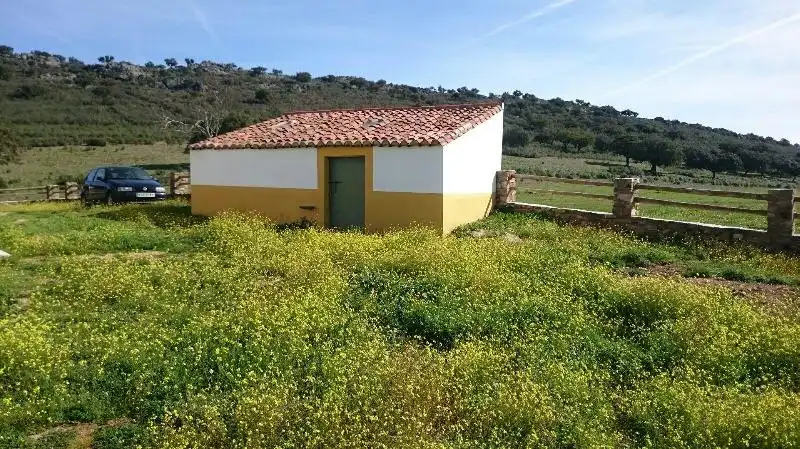 Land for sale in Salorino