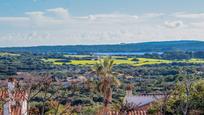 Casa o xalet en venda en Es Mercadal amb Jardí privat