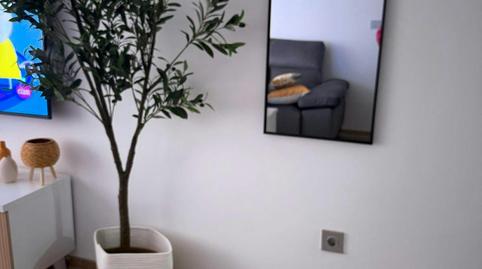 Foto 3 de Pis de lloguer a C/ de Tomàs Ortuño, Centro Urbano, Benidorm