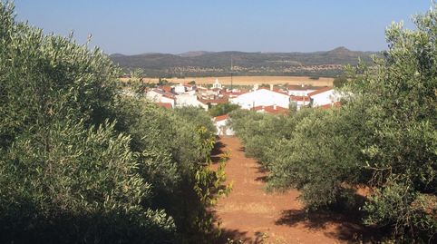 Foto 4 de Finca rústica en venta en N/a, -1, Olivenza, Badajoz