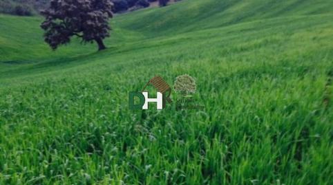 Foto 5 de Residencial en venda a San Jerónimo - La Bachillera,  Sevilla Capital