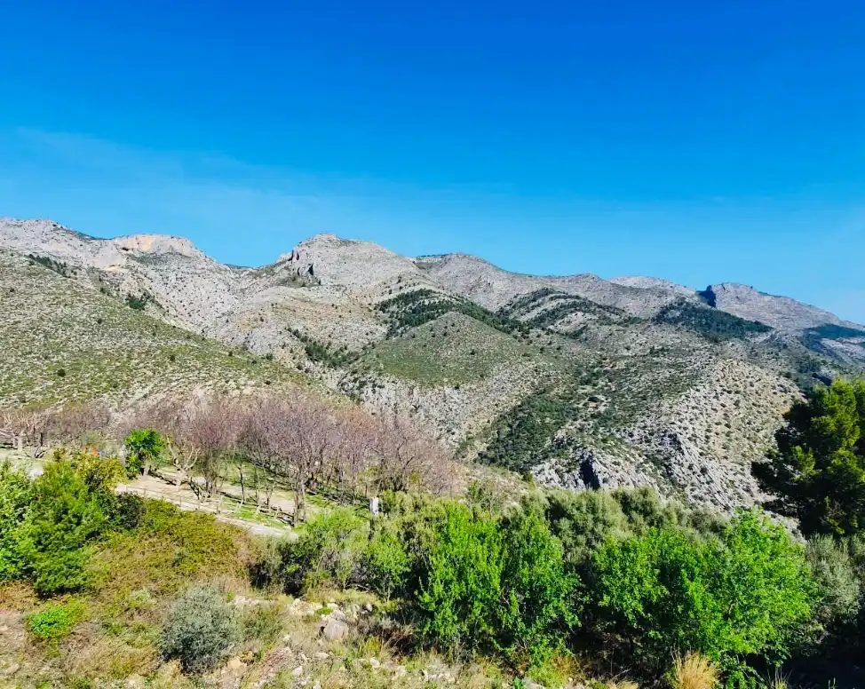 Exterior view of Houses for sale in La Vall de Laguar  with Air Conditioner, Heating and Private garden