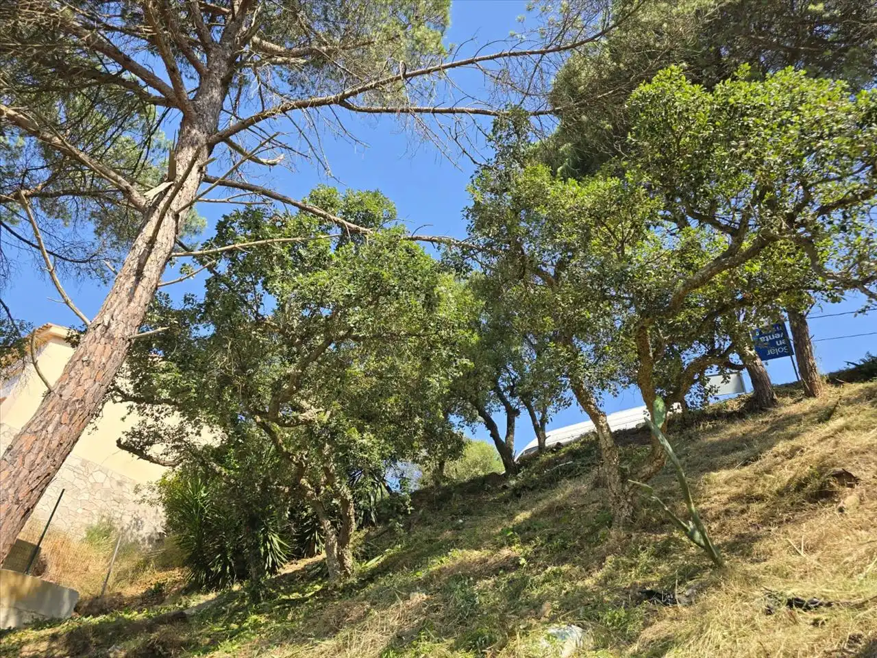 Rustikales Grundstück zum Verkauf in Avinguda de la Senyera, 4, Lloret de Mar, Spain, imagen 11