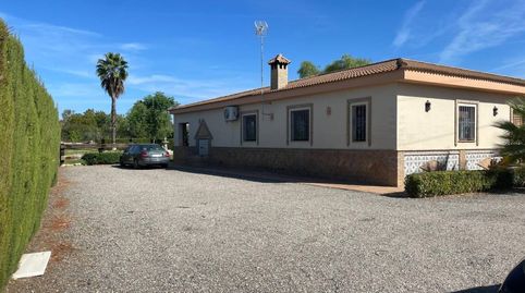 Chalet rustico en venta en Pilas, imagen 2